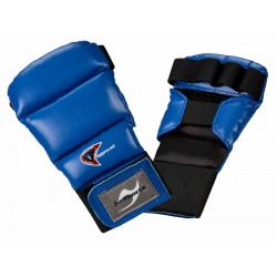 Ju-Jutsu gloves sections...