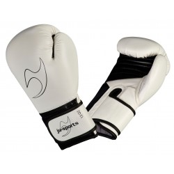 Boxing Glove Training 2.0...