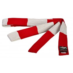 Premium Goudsbelt 7e Dan...