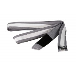 Ju-Sports BJJ Kids Belt...