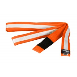 Ju-Sports BJJ Kids Belt...