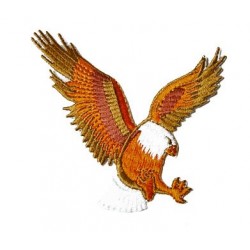 Patch eagle