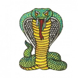 Patch tuyau